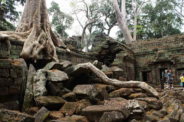 In the City of the Jungle, Angkor Wat: Part Two