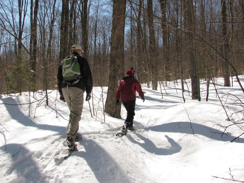 Join Other Outdoor Enthusiasts for First Day Hikes in a Vermont State Park