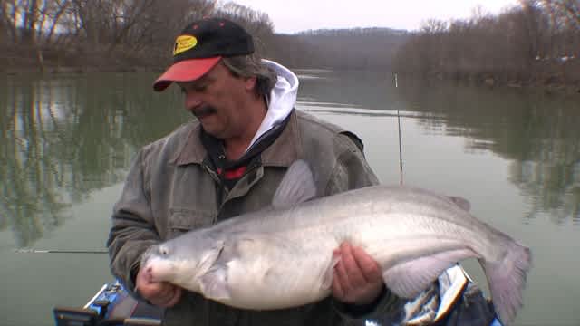 Three Sure-Fire Places to Find Winter Blue Catfish
