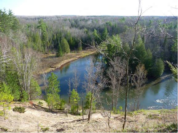 Michigan DNR Acquires 280 Acres in the Manistee River Watershed