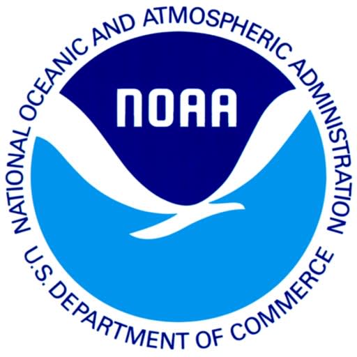 NOAA Offers Tips on Assisting Whales, Dolphins or Sea Turtles in Trouble