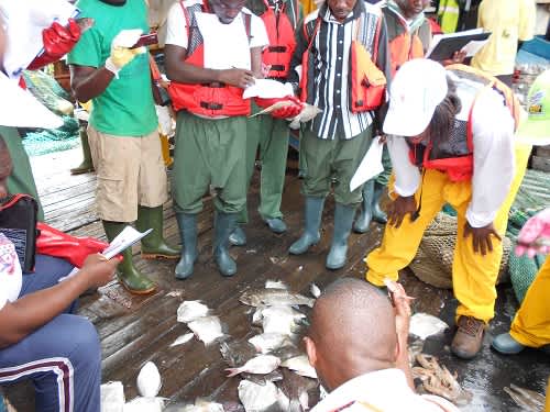 Wildlife Conservation Society Organizes Fisheries Observer Workshop for Central Africa
