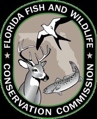 Florida Wildlife to Benefit from Thinning Pines on Caravelle Ranch WMA