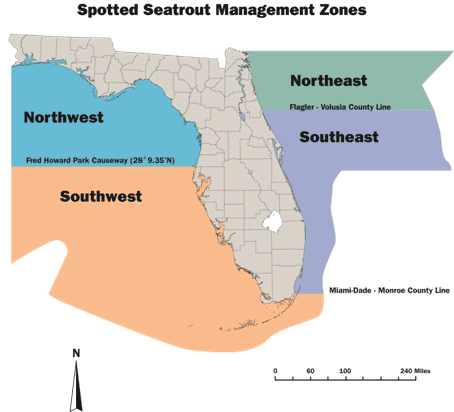 Florida Red Drum and Spotted Seatrout Management Efforts Change Feb. 1