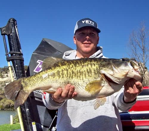 Sizzling Lake Austin Turns in Third ShareLunker of the Season