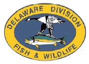 Delaware DNREC Fish & Wildlife Enforcement Blotter for Dec 21