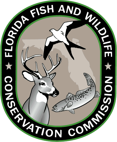 Florida FWC Releases Last Group of Plans to Conserve 60 Imperiled Species