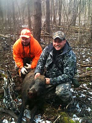 Hog Attack: Coming Face to Face With a 200lb Beast