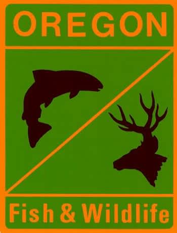 September Fish Counts at Oregon’s Foster Dam