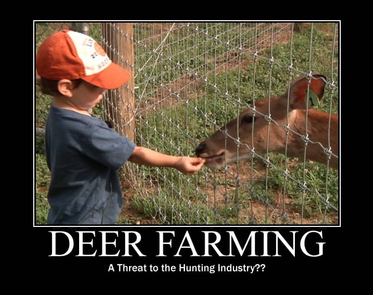 Do the QDMA and the HSUS Have Anything in Common?