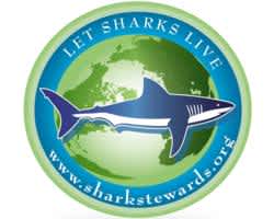 Shark Stewards Launches Shark Protection Campaign in Chicago