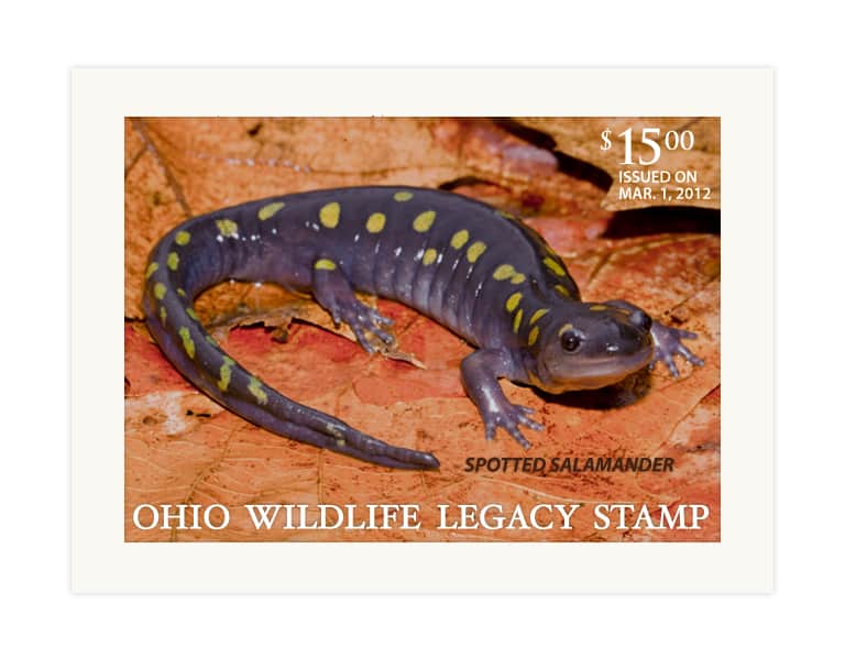 Ohio Wildlife Legacy Stamp Available for Purchase