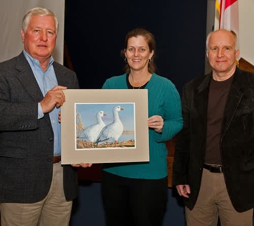 Impressive Submissions for Alabama’s Duck Stamp Contest