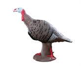 Perfect Your Aim with the Rinehart Tom Turkey Target