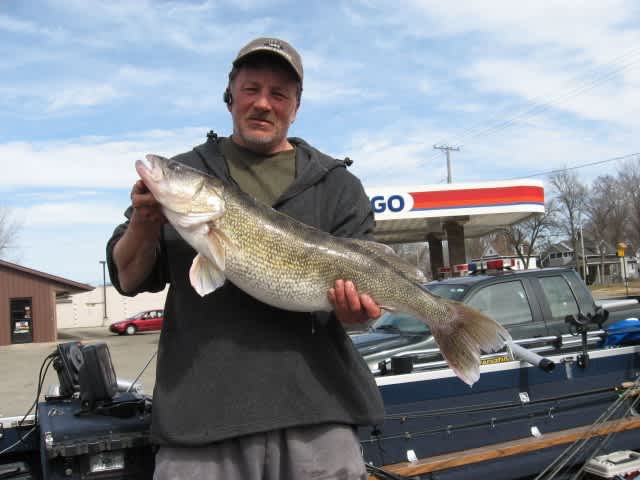 Illinois DNR Certifies New State Record Walleye