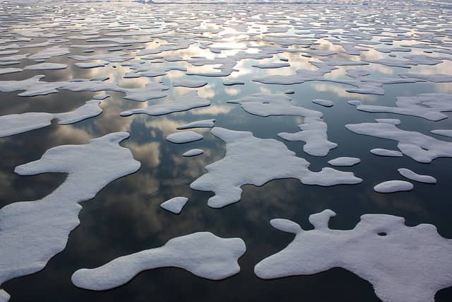 Scientists Call for No Fishing Zone in Freshly Exposed Arctic Waters