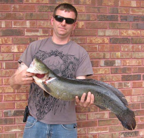 Bowfishing Duo Doubles Down on Missouri State-Record Bowfin