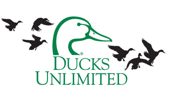 Ducks Unlimited and LDWF Improve Northern Louisiana Waterfowl Habitat