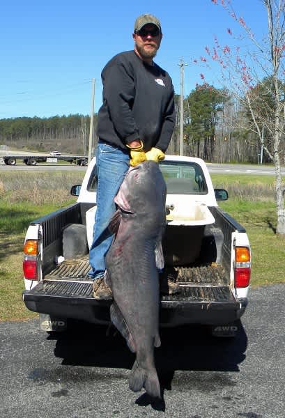 The Story of the 120 Pound Record-Breaking Alabama Blue Catfish