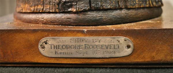 The President Theodore Roosevelt Collection is Live at the NRA Headquarters