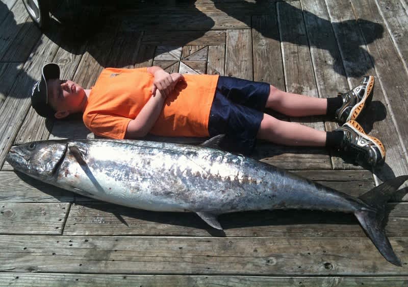 The Story of the New Alabama State Record King Mackerel Caught by an Eight  Year Old
