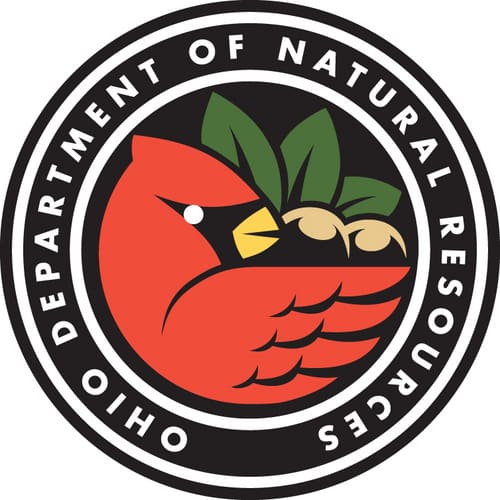 Hunters Bag Nearly 8,900 Wild Turkeys During First Week of Spring Season in Ohio