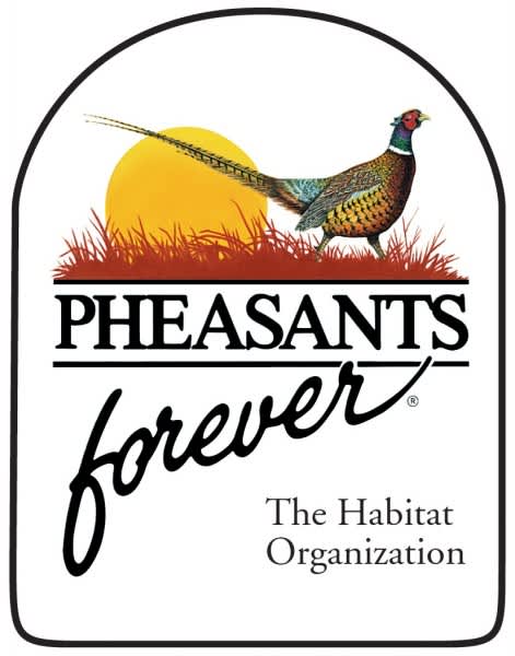 Iowa’s 50K-Acre Pheasant Recovery Program Aims to Create Upland Habitat