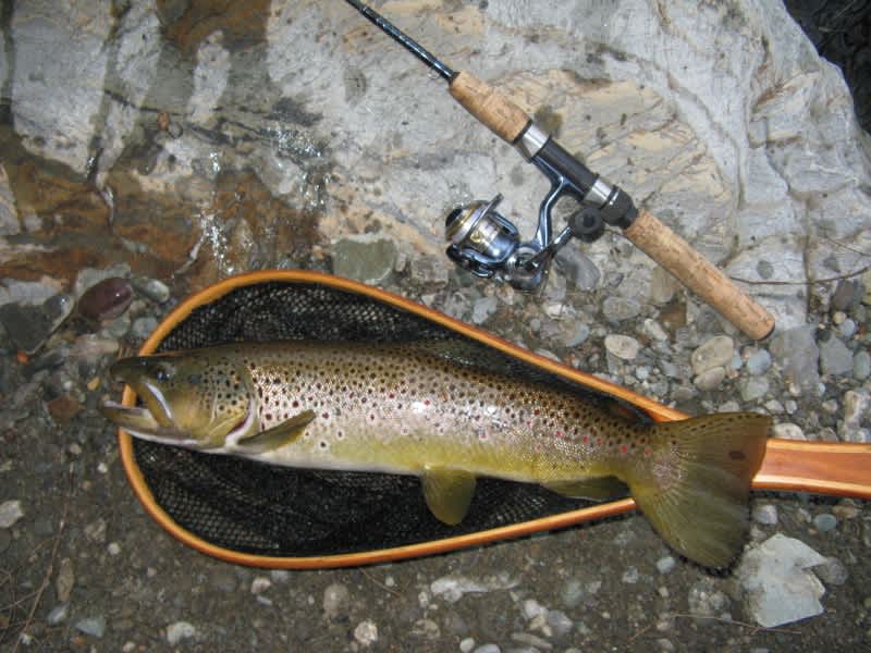 Many Vermont Streams Producing Good Trout Fishing