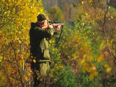 Wisconsin Upholds Ban on Firearms for Non-Violent Felons in Deer Hunting Case
