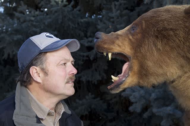 Research Suggests Spray is More Effective than Firearms in Preventing Bear Attacks