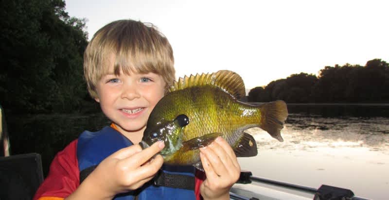 Tapping Undiscovered Bluegills with High Resolution Sonar Technology
