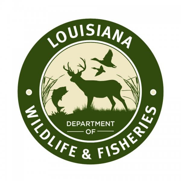 Recreational Fishing and Hunting Licenses Expire June 30 in Louisiana