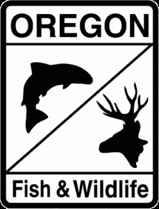 Oregon Black Bear Management Plan Approved by Fish and Wildlife Commission