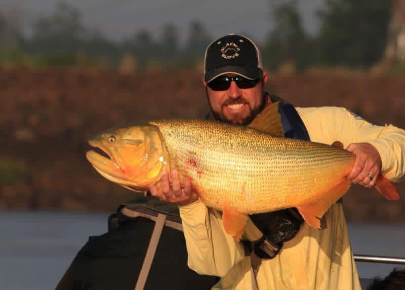 Striking Gold in South America: Fishing for Golden Dorado on the Uruguay River