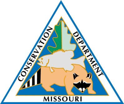 Crayfish Regulation Discussions Continue in Missouri