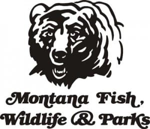 Montana’s Fisher Season to Close in Trapping District 1