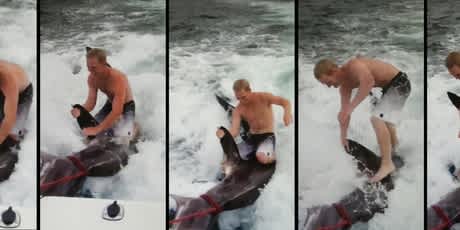 Shark-Surfing Angler Gets a Visit from Investigators