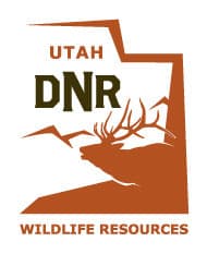 Utah Promotes Bird Feeding: It’s Fun to Do and Helps Wildlife Too
