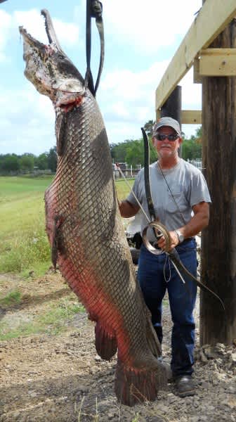 Texan Bow Fisher Reels In 300 Pound Alligator Gar