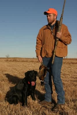 Top 5 Pheasant Dog Owner Mistakes and How to Prevent Them