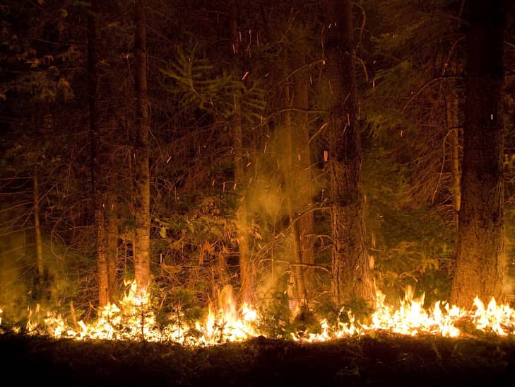 The 10 Most Destructive Wildfires in U.S. History
