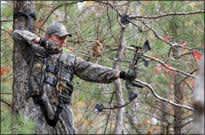 Proficiency Tests Among Urban Deer Hunt Requirements in Arkansas