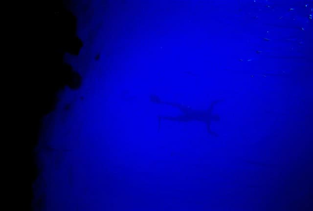 Video: World-Record Free Dive 101 Meters Down World’s Deepest Blue Hole