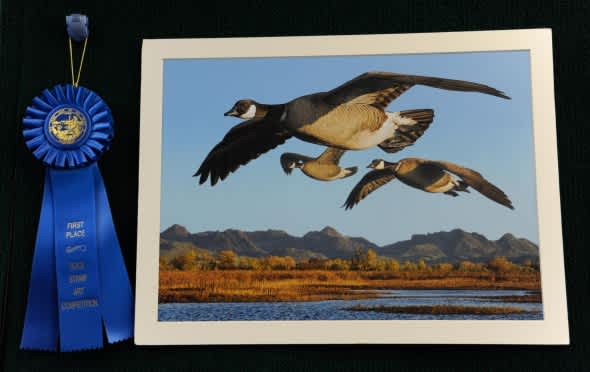 San Francisco Artist Wins 2012 California Duck Stamp Contest
