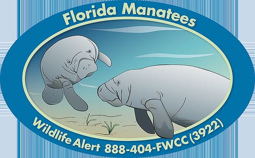 New Manatee, Sea Turtle Decals: An Affordable Way to Support Conservation