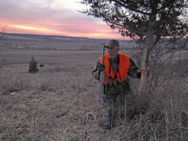Three Tips for Successful Deer Hunting from Bo Pitman