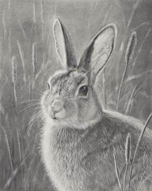 $5,500 in Prizes Available in 25th Annual George Montgomery/NRA Youth Wildlife Art Contest
