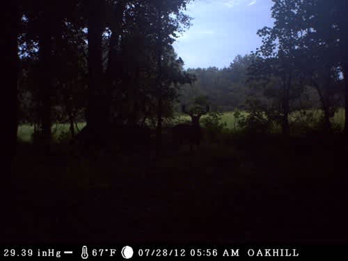 First Game Camera Check of the Year