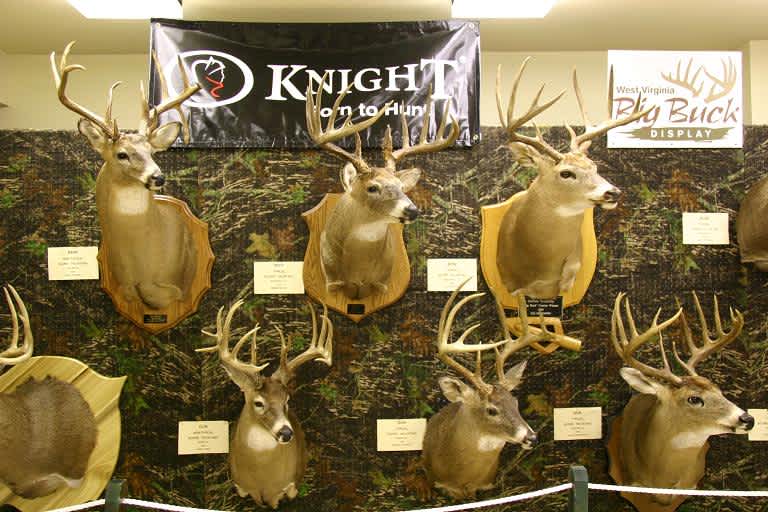 Wanted: Owners of West Virginia Big Bucks for Display