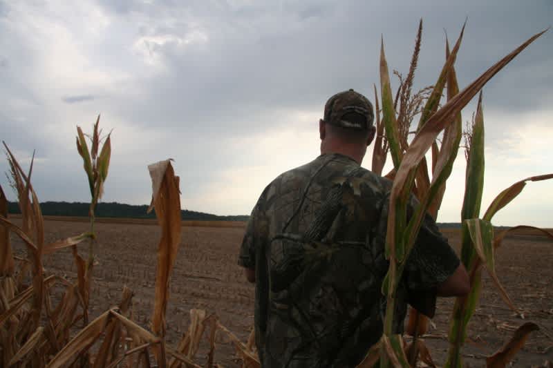 Wing Shooting Perfection: Preparing for Dove Hunting Season